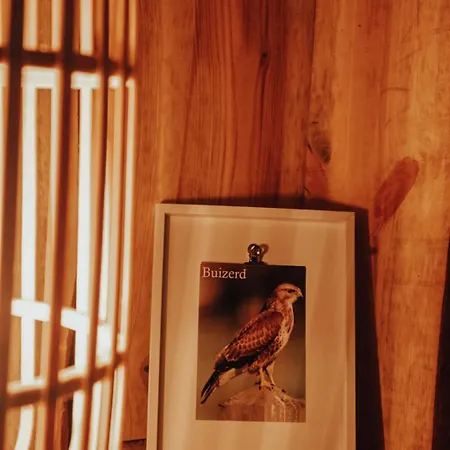 Chalet Hoeve Twente - De Buizerd *
