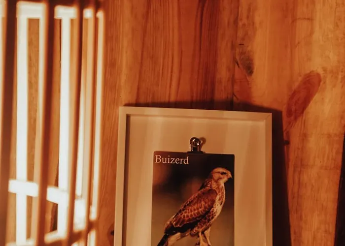 Chalet Hoeve Twente - De Buizerd *